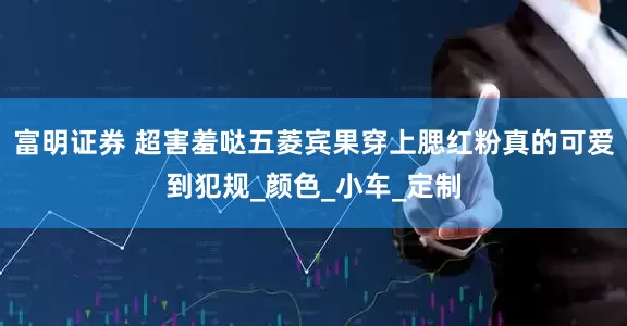 富明证券 超害羞哒五菱宾果穿上腮红粉真的可爱到犯规_颜色_小车_定制