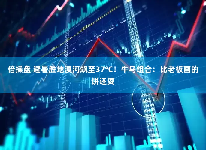 倍操盘 避暑胜地漠河飙至37℃！牛马组合：比老板画的饼还烫