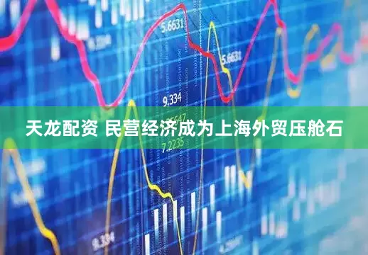 天龙配资 民营经济成为上海外贸压舱石