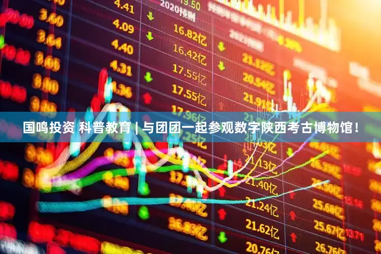 国鸣投资 科普教育 | 与团团一起参观数字陕西考古博物馆！