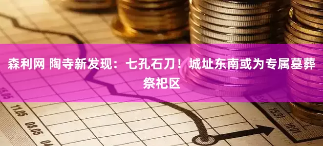 森利网 陶寺新发现：七孔石刀！城址东南或为专属墓葬祭祀区
