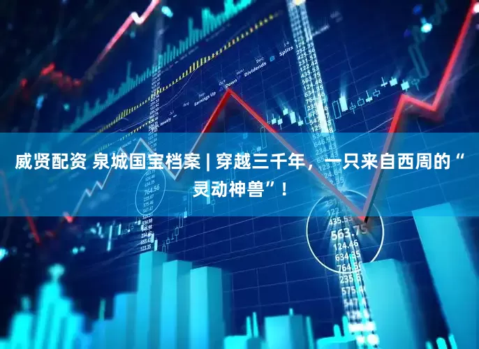 威贤配资 泉城国宝档案 | 穿越三千年，一只来自西周的“灵动神兽”！